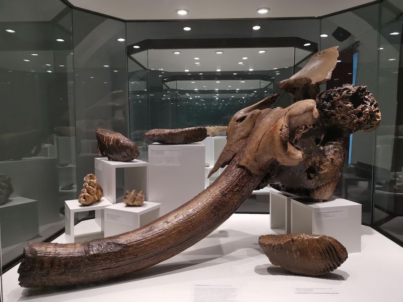 Croatian Natural History Museum – Zagreb, Croatia (1846)