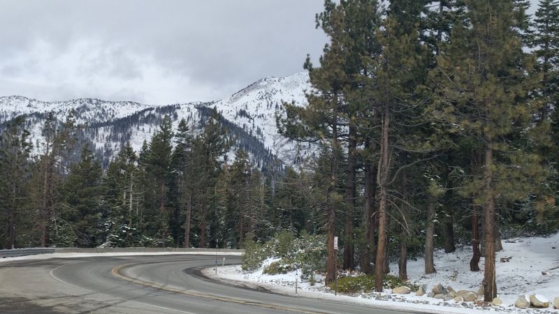 Cross-Country Skiing and Snowshoeing Through Silent Forests