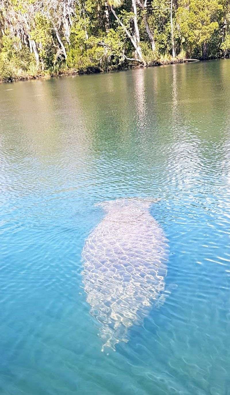 Crystal River