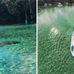 Crystal Waters and Forest Views Make This Florida Spring Worth the Trip