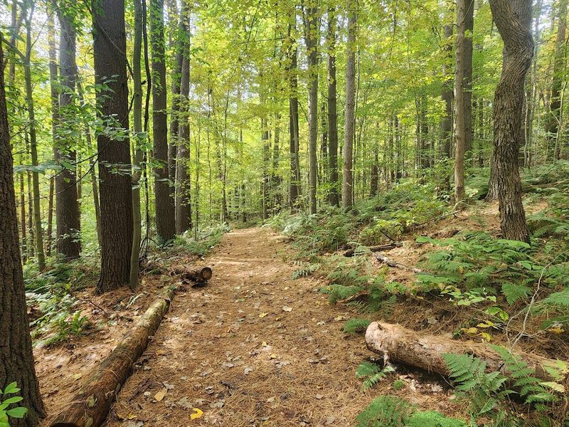 Mohican State Park