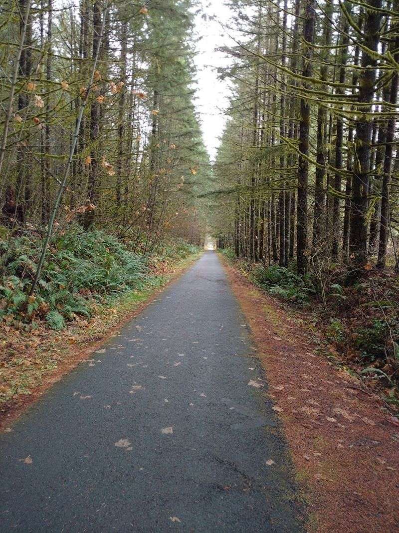 Cycling the Full 21 Miles: What to Expect Cycling the Full 21 Miles: What to Expect