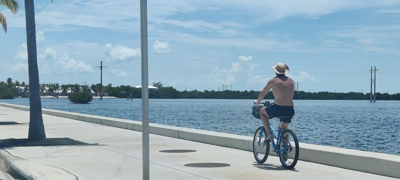 Cycling the Keys: Two Wheels, Infinite Views Cycling the Keys: Two Wheels, Infinite Views