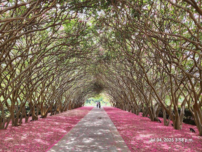 Dallas Arboretum and Botanical Garden – Dallas, Texas