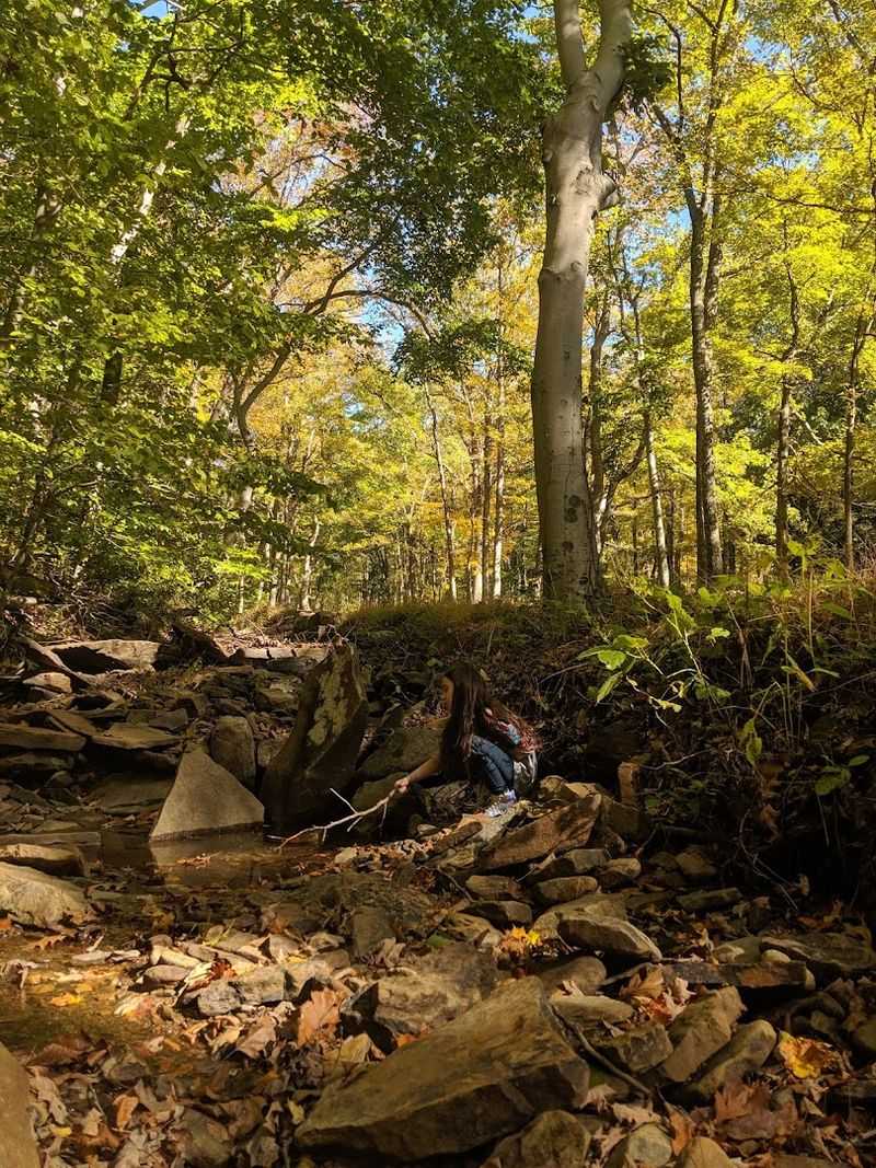 Dans Mountain State Park Dans Mountain State Park