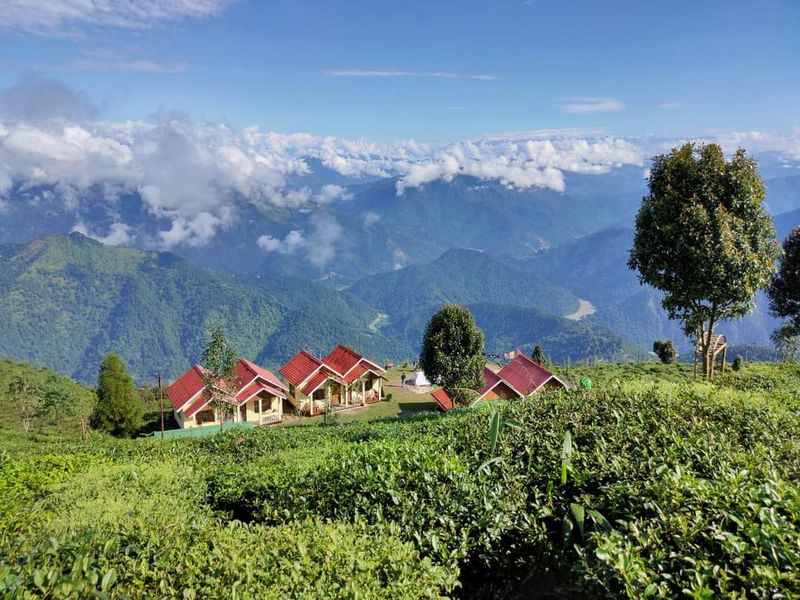 Darjeeling - West Bengal