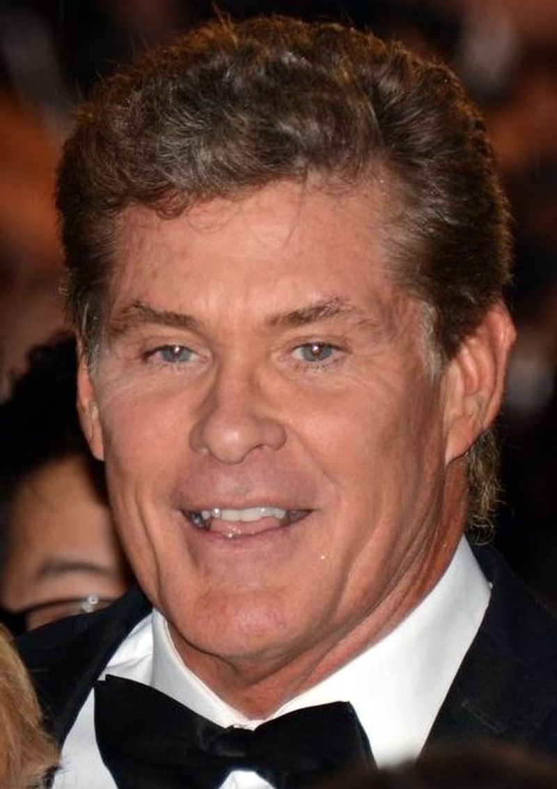 David Hasselhoff David Hasselhoff