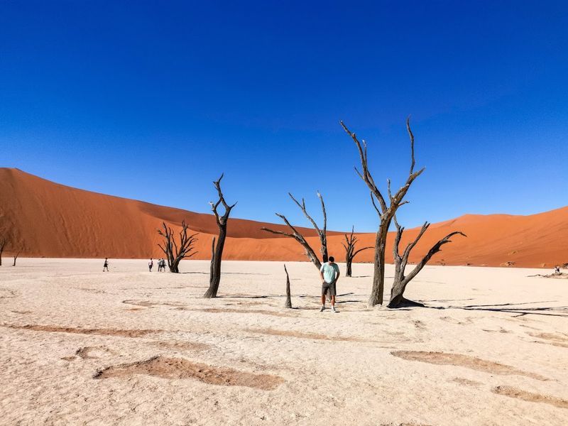 Dead Vlei, Namibia