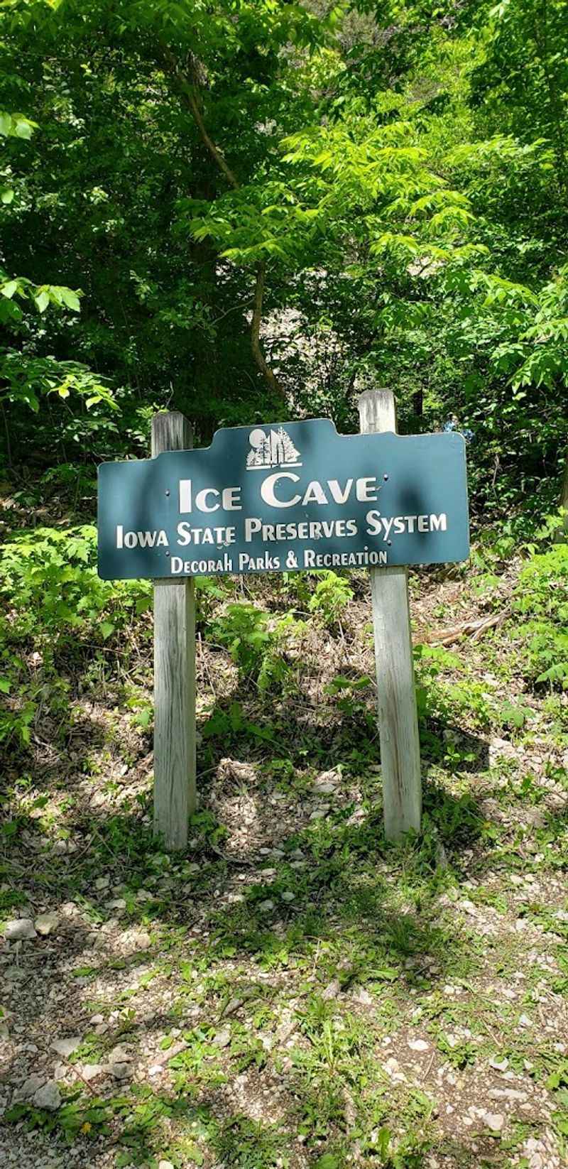 Decorah Ice Cave and the Geology Beneath Your Feet Decorah Ice Cave and the Geology Beneath Your Feet