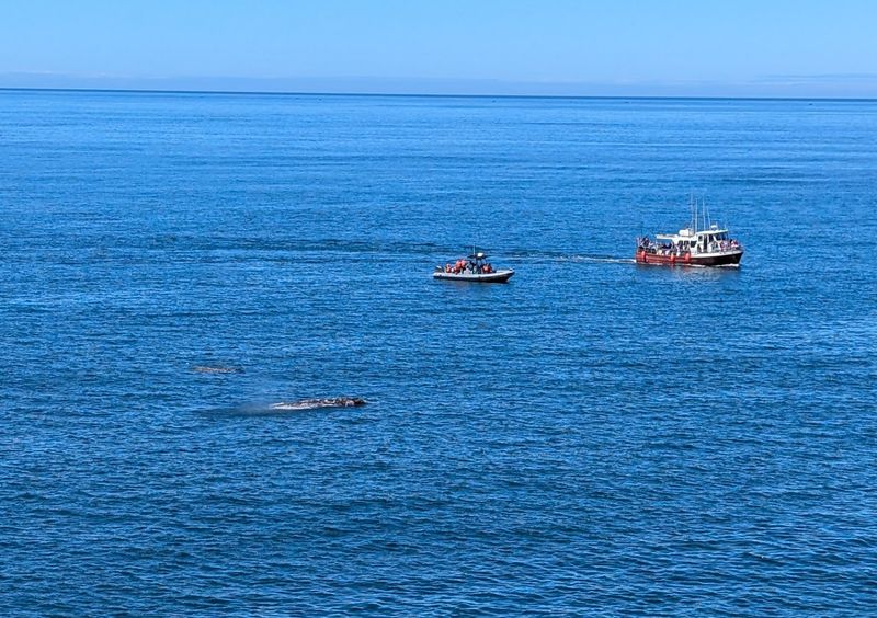 Depoe Bay, Oregon — Whale Watching and Rugged Ocean Views Depoe Bay, Oregon — Whale Watching and Rugged Ocean Views
