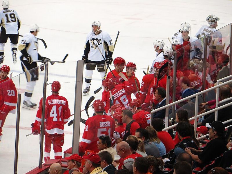 Detroit Red Wings (NHL) - 11 Stanley Cups