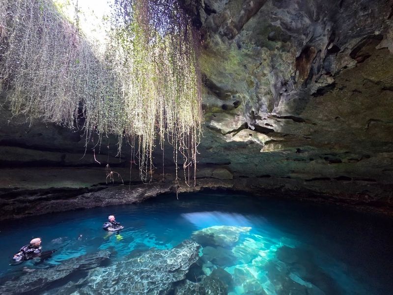 Devil's Den Prehistoric Spring, Williston Devil's Den Prehistoric Spring, Williston