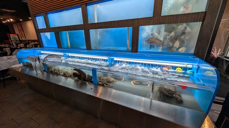 Live Seafood Tanks and What They Mean