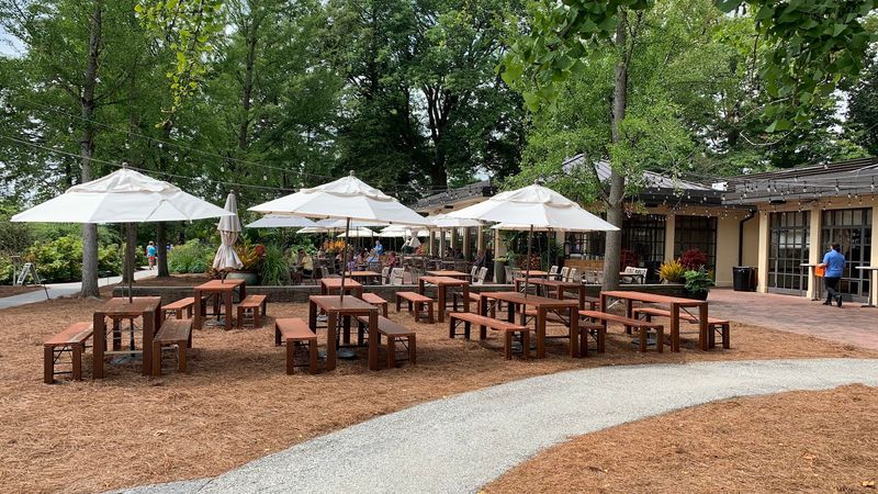 Dining Options That Go Beyond a Quick Snack