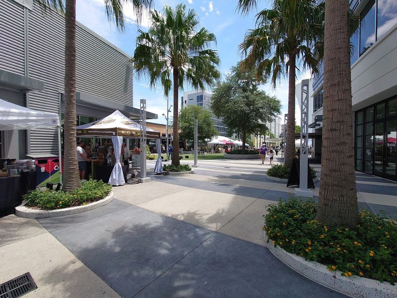 Dining, Shops, and the Town Center Experience