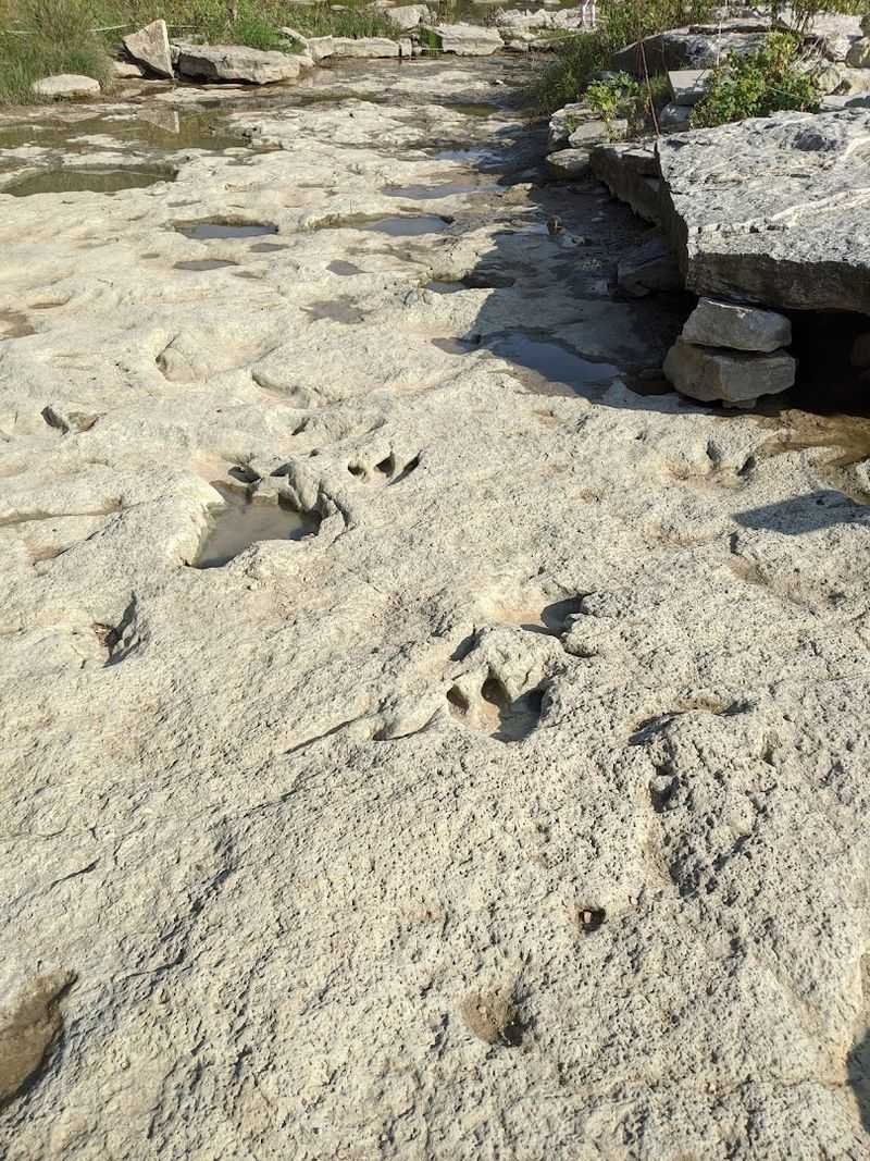 Dinosaur Valley State Park Dinosaur Valley State Park