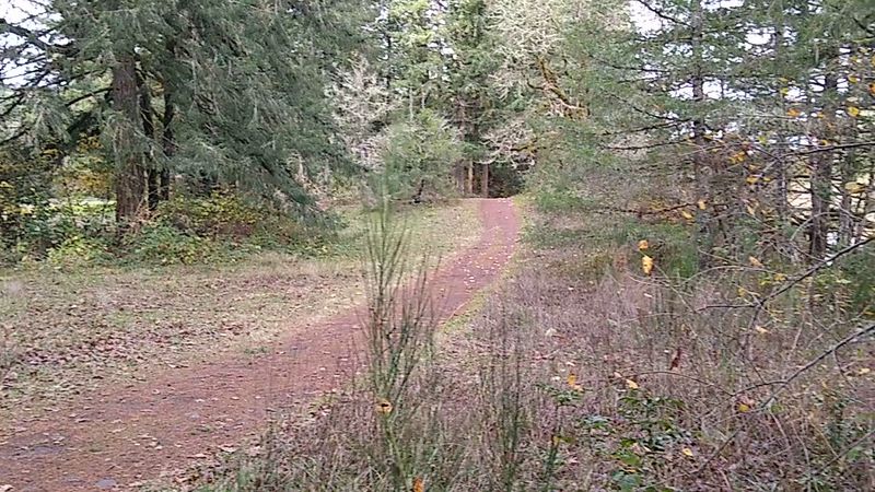 Disc Golf That Draws Players From Across the Region