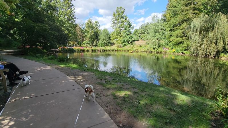 Dog-Friendly Trails and Pet Visits Dog-Friendly Trails and Pet Visits