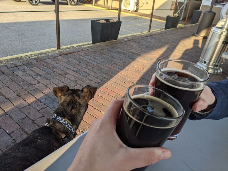 Dog-Friendly and Family-Friendly Without Compromise