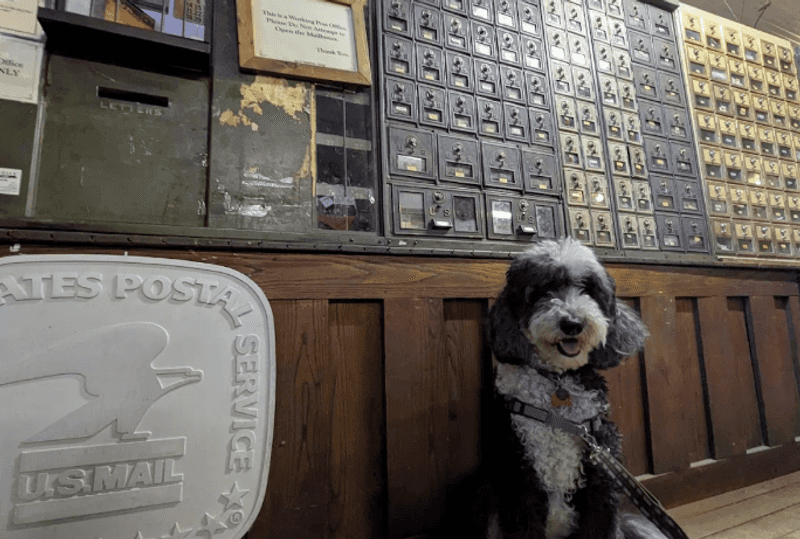 Dog-Friendly and Family-Ready Dog-Friendly and Family-Ready
