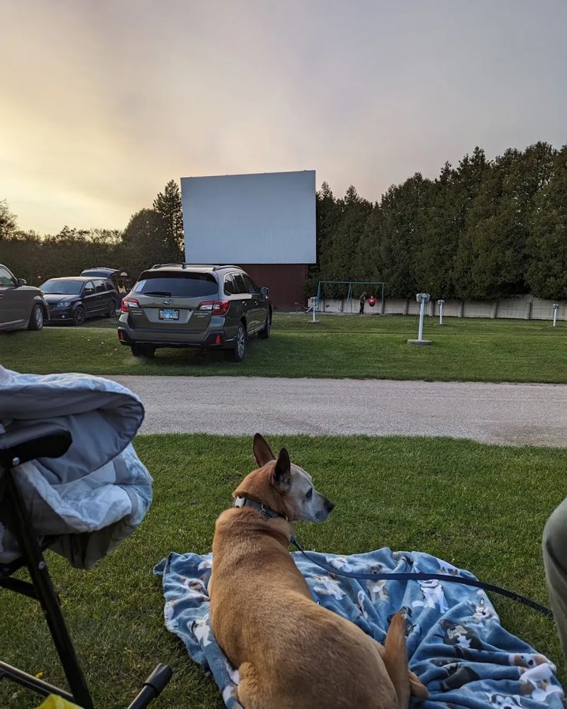 Dogs Are Welcome at the Show Dogs Are Welcome at the Show