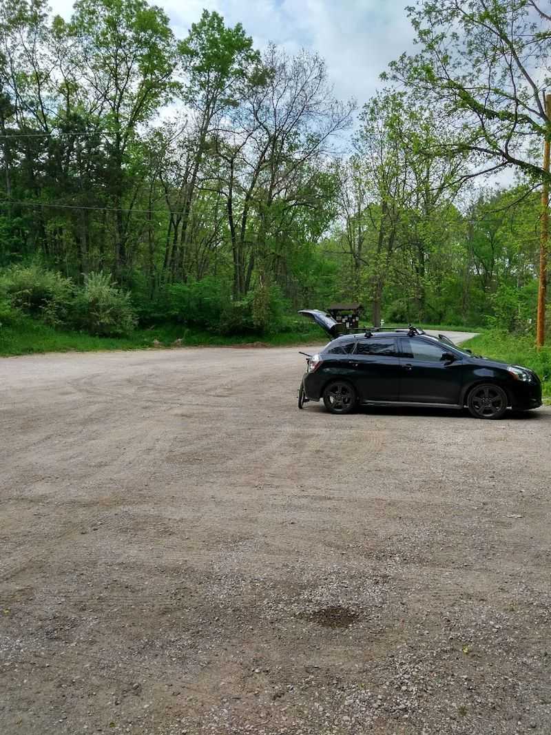 Dogs, Parking, and the Practical Details That Make a Visit Smooth