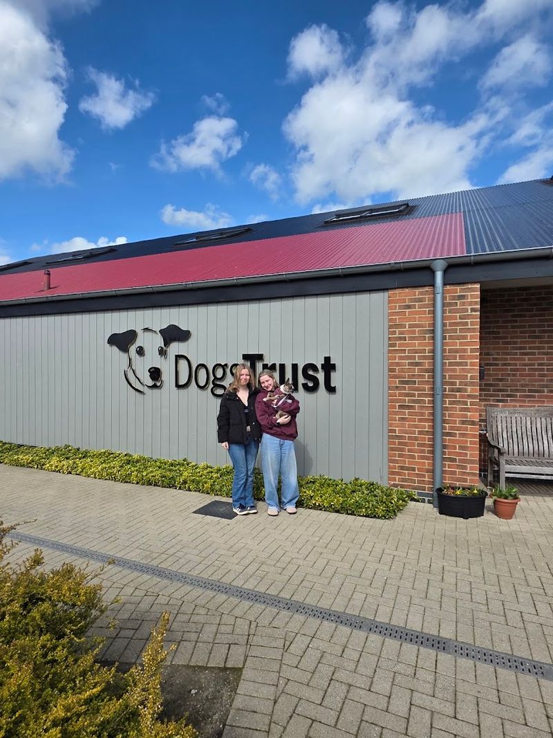 Dogs Trust, Multiple Locations, United Kingdom Dogs Trust, Multiple Locations, United Kingdom