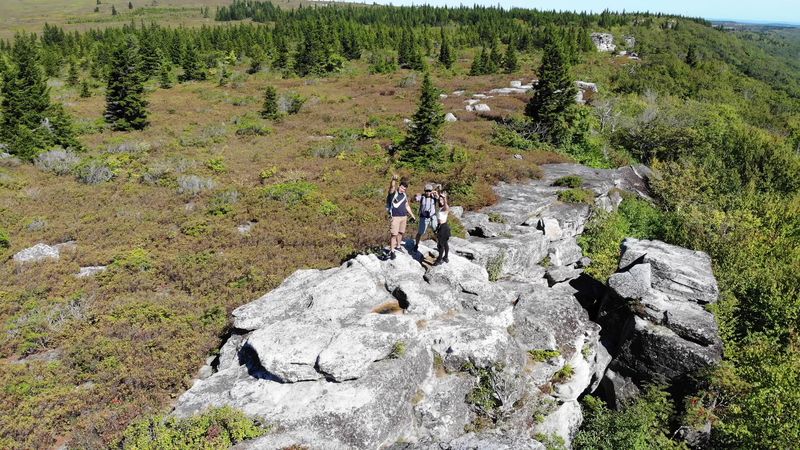 Dolly Sods Wilderness, Tucker County, West Virginia Dolly Sods Wilderness, Tucker County, West Virginia