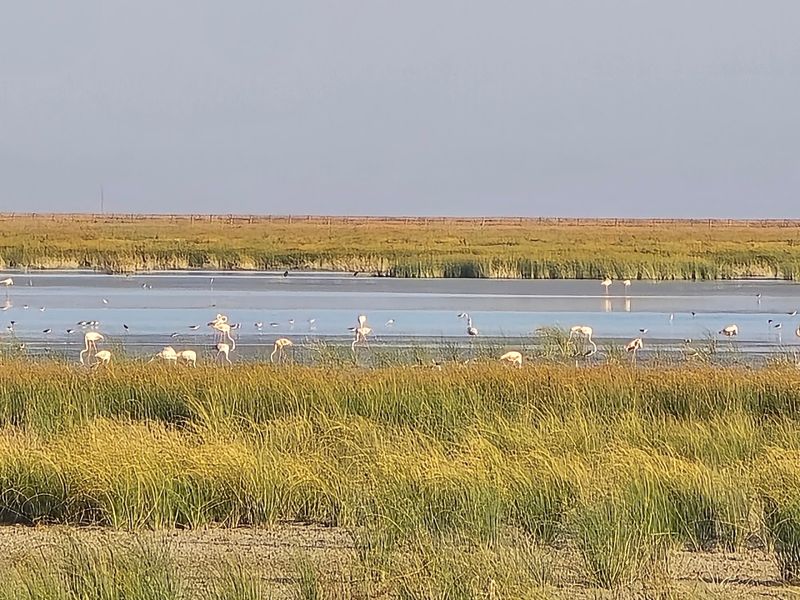 Doñana National Park – Andalusia