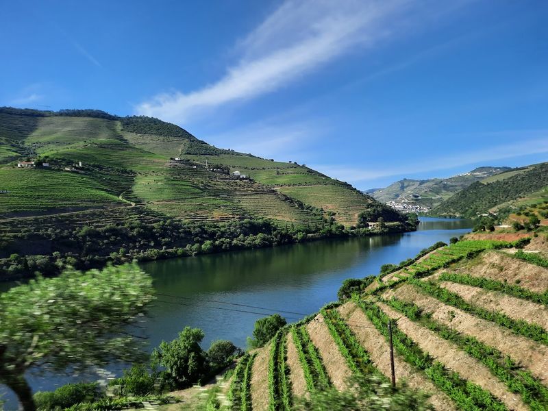 Douro Valley, Portugal