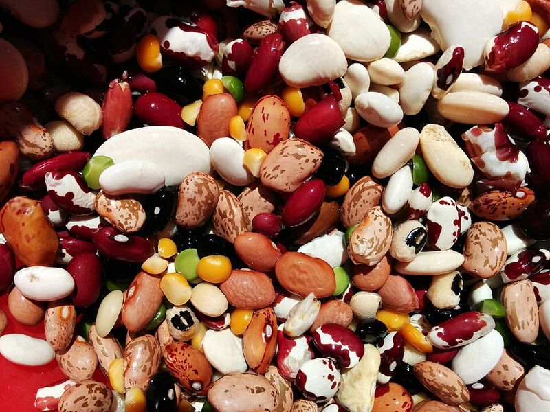 Dried Beans: Still Feeding the Whole Crew