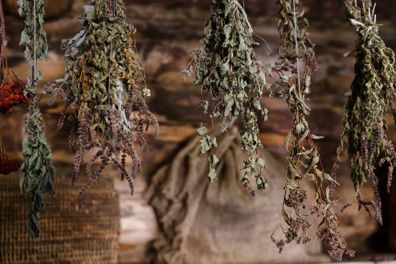 Dried Herbs: Small Jars, Big Flavor