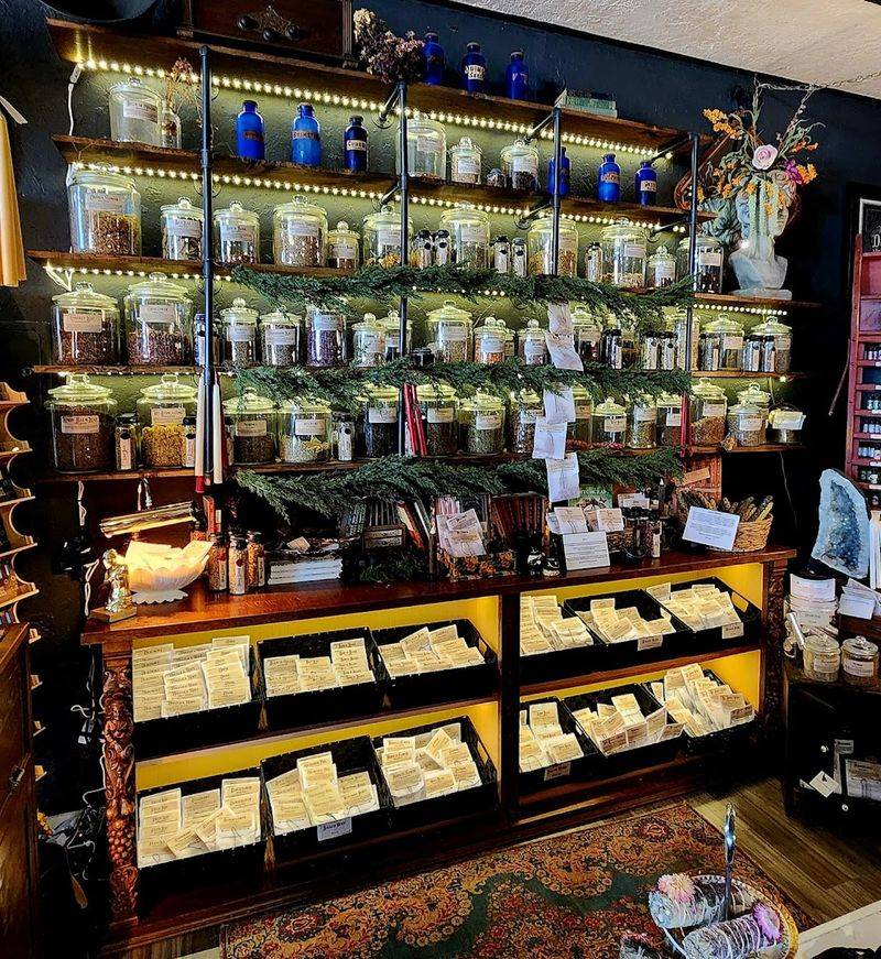 Dried Herbs and Botanical Displays