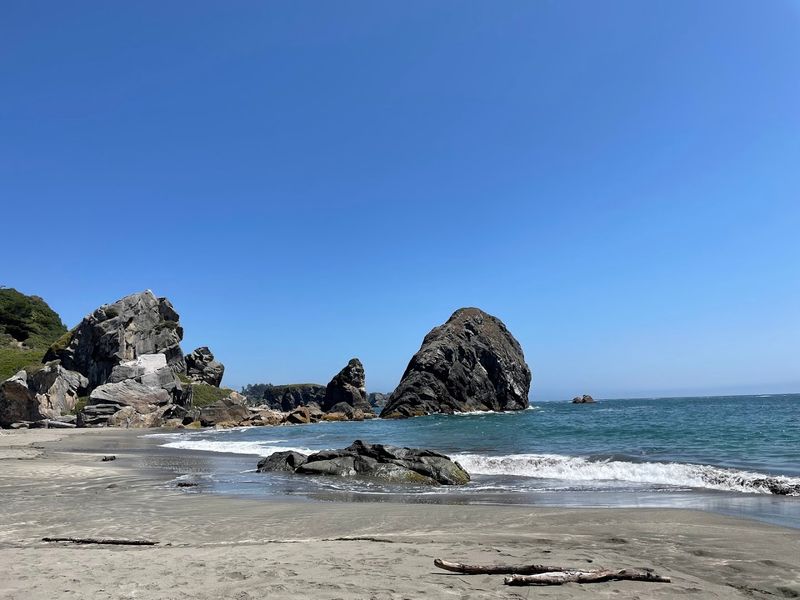 Driftwood, Logs, and the Fascinating Story the Beach Tells Daily