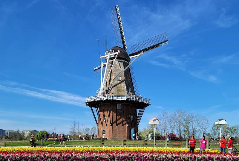 Dutch Heritage That Goes Deeper Than Windmills