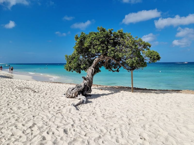 Eagle Beach, Aruba Eagle Beach, Aruba