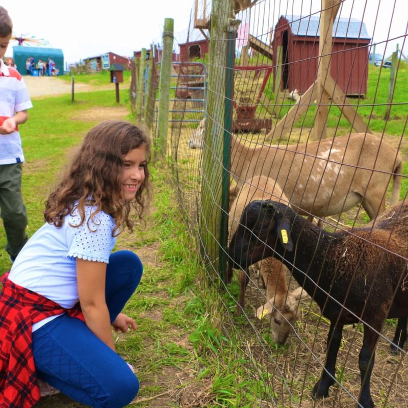 Easter Eggstravaganza: Spring Has Its Own Party Here