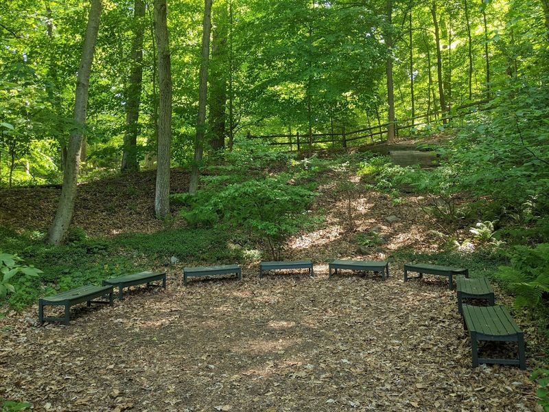 Educational Programs That Go Beyond the Typical Field Trip