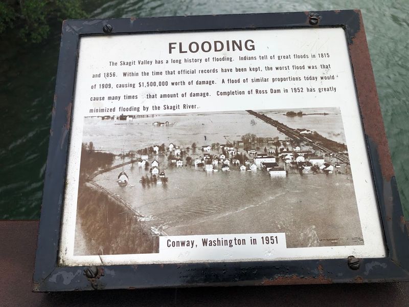 Educational Signs That Tell the Forest's Story
