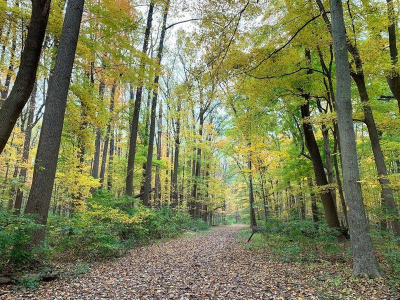 Einstein Walked These Paths