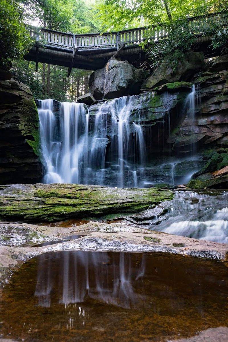 Elakala Falls: The Hidden Waterfall Worth the Extra Steps Elakala Falls: The Hidden Waterfall Worth the Extra Steps