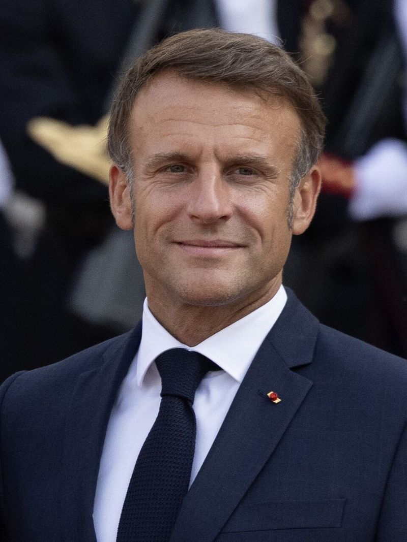 Emmanuel Macron: Blanquette de Veau Emmanuel Macron: Blanquette de Veau