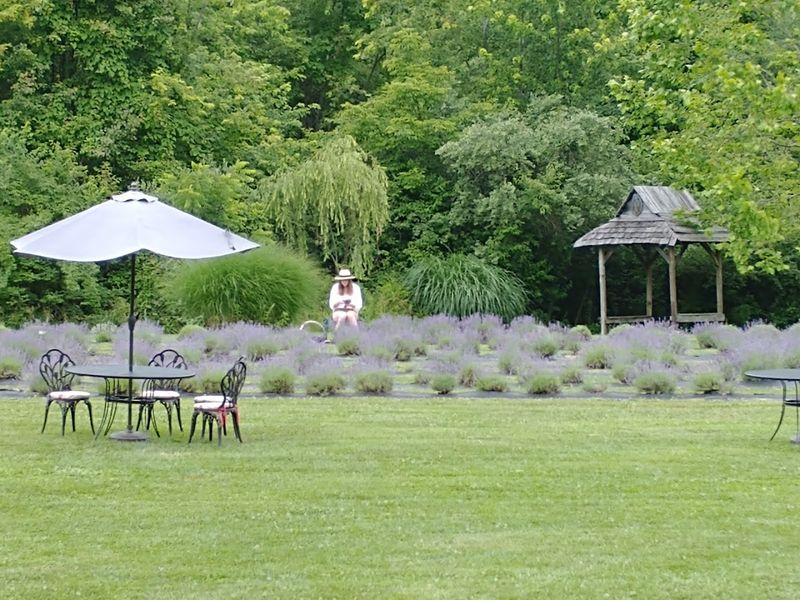 Engagement Photos, Family Portraits, and the Farm's Natural Backdrops Engagement Photos, Family Portraits, and the Farm's Natural Backdrops