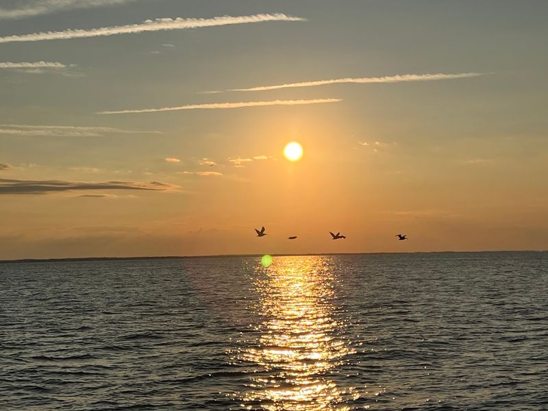 Enjoy a Sunset Boat Trip Enjoy a Sunset Boat Trip