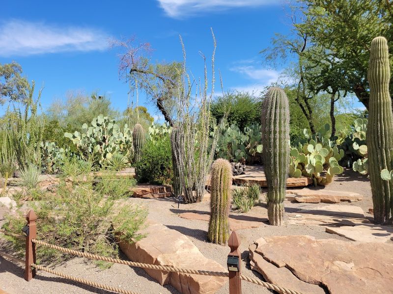 Ethel M Botanical Cactus Garden Ethel M Botanical Cactus Garden