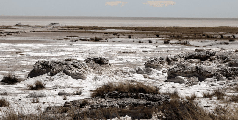 Etosha Pan, Oshikoto Region, Namibia