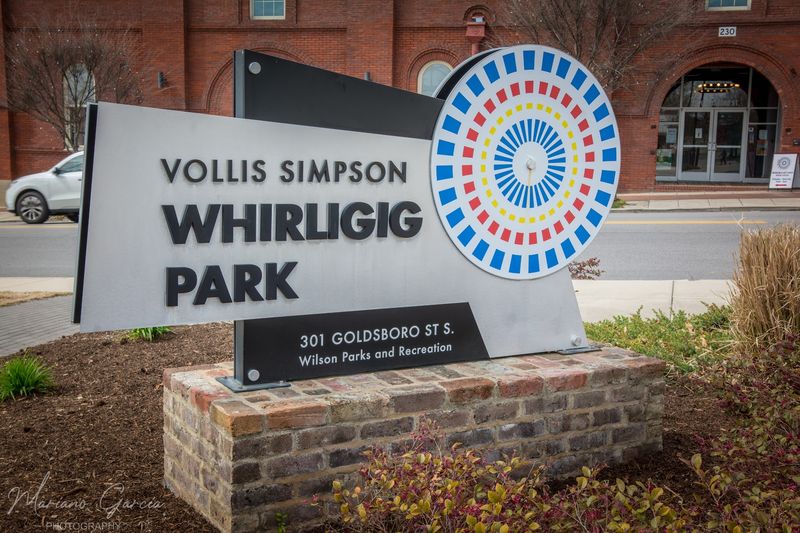Events and Festivals That Bring the Park to Life