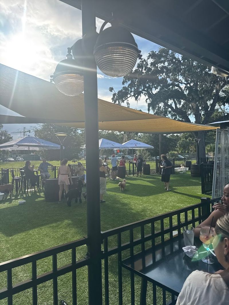 Events and Special Programming Throughout the Month