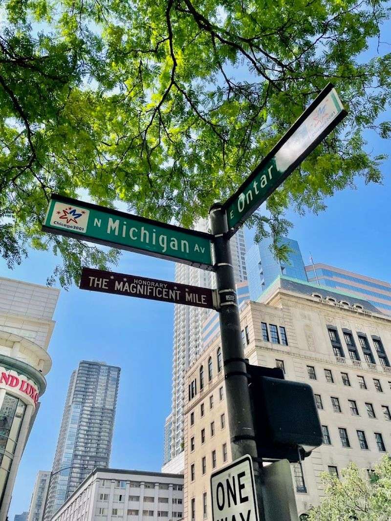 Explore the Magnificent Mile Explore the Magnificent Mile