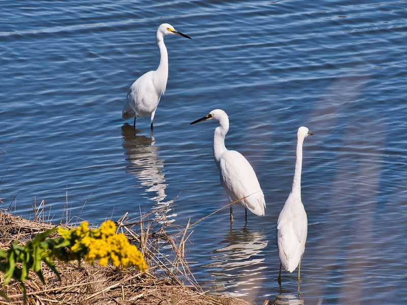 Exploring Atlantic County Beyond the Casino Strip